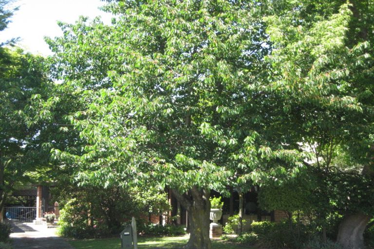 Photo of property in 20 Aylmer Street, Somerfield, Christchurch, 8024