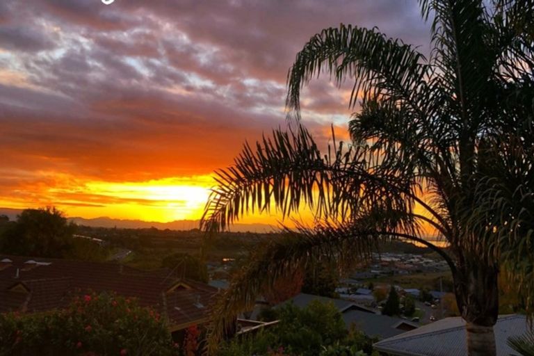 Photo of property in 7 Lebanon Street, Judea, Tauranga, 3110