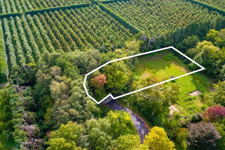 Photo of property in 16 Woodlands Way, Greytown, 5712