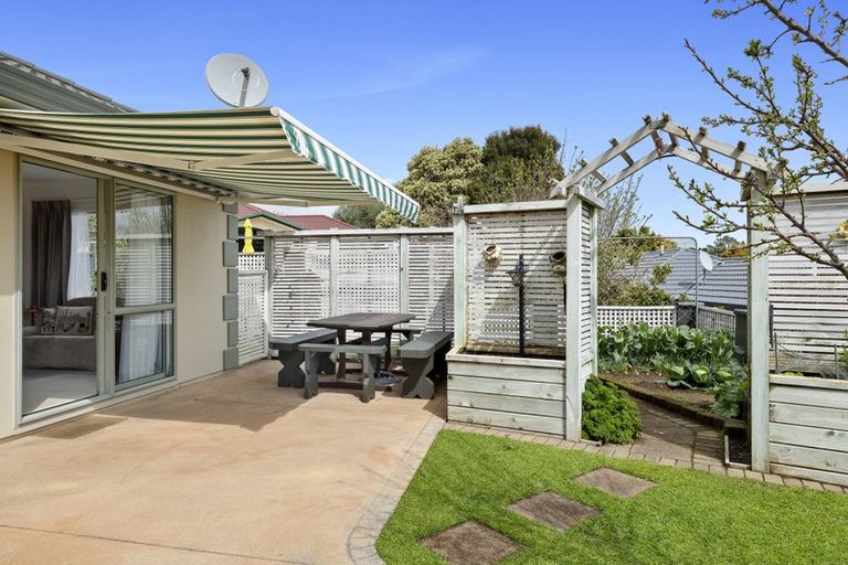 Photo of property in 14 Shelter Grove, Frankleigh Park, New Plymouth, 4310