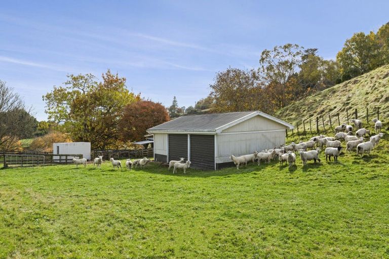 Photo of property in 26 Tammadge Street, Te Kuiti, 3910