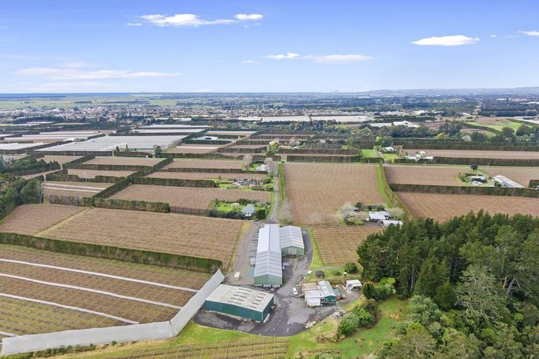 Photo of property in 288a No 3 Road, Te Puke, 3183