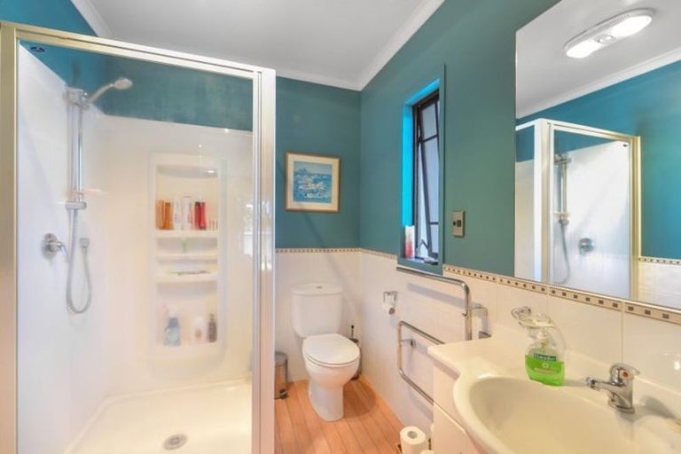 Photo of property in 42a Willoughby Street, Whitiora, Hamilton, 3200