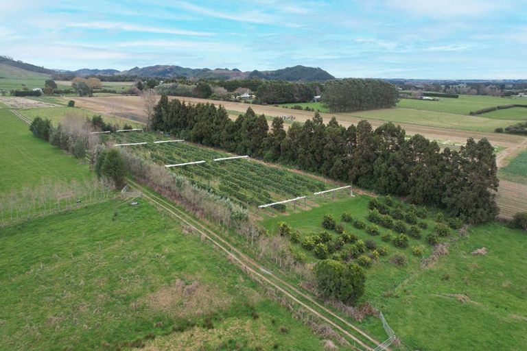 Photo of property in 459 Muhunoa Road East, Muhunoa East, Levin, 5570