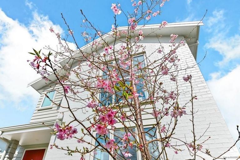 Photo of property in 12 Samuel Cassidy Avenue, Swanson, Auckland, 0614