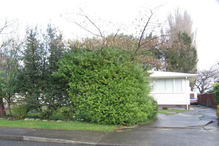 Photo of property in 541 Lowe Street, Camberley, Hastings, 4120