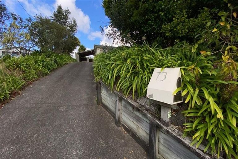 Photo of property in 73a Target Road, Totara Vale, Auckland, 0629