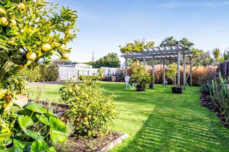 Photo of property in 31 Maire Street, Inglewood, 4330