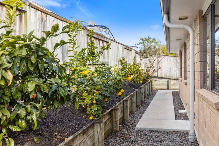 Photo of property in 8d Cannell Farm Drive, Te Puke, 3119