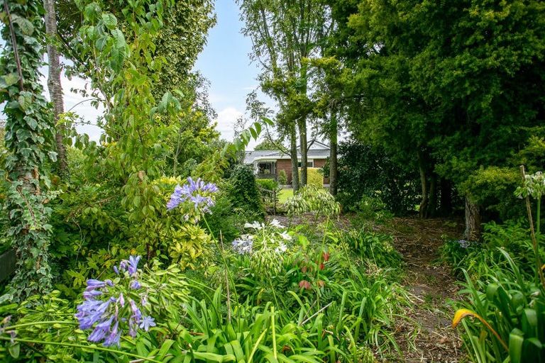 Photo of property in 10 Rowling Place, Leamington, Cambridge, 3432