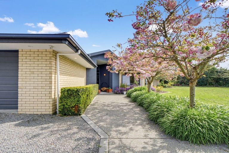 Photo of property in 5 Newton Place, Amberley, 7410