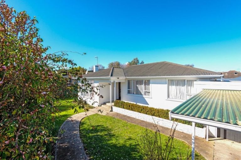 Photo of property in 63 Miro Street, Takaro, Palmerston North, 4410