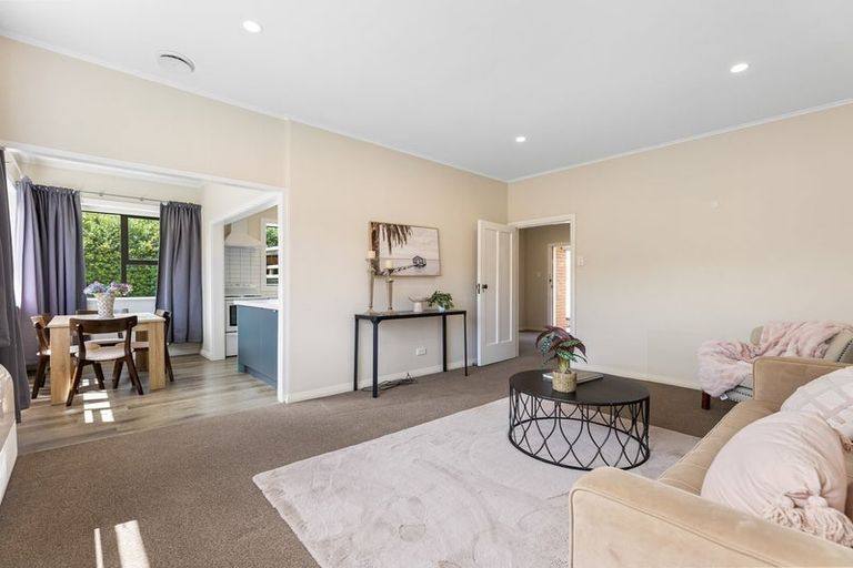 Photo of property in 41 Mayfield Avenue, Wakari, Dunedin, 9010