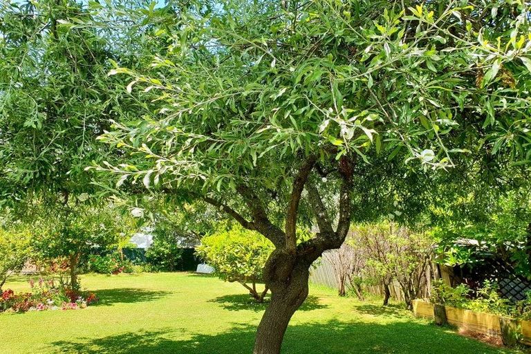 Photo of property in 11 Plunket Street, Durie Hill, Whanganui, 4500