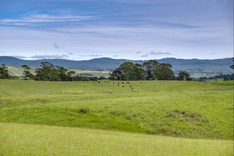 Photo of property in 812 Whakapirau Road, Whakapirau, Maungaturoto, 0583