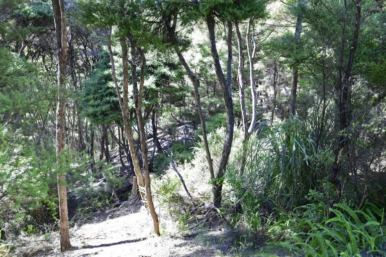 Photo of property in 8 Lavinia Place, Kawau Island, 0920