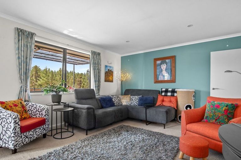 Photo of property in 213a Letts Gully Road, Letts Gully, Alexandra, 9393