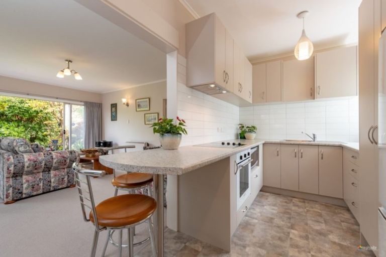 Photo of property in 31 Gordon Street, Avalon, Lower Hutt, 5011