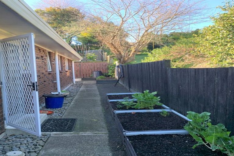 Photo of property in 19 Perindale Drive, Chartwell, Hamilton, 3210