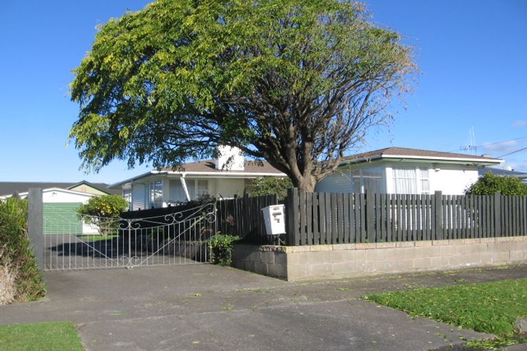 Photo of property in 25 Piper Place, Roslyn, Palmerston North, 4414