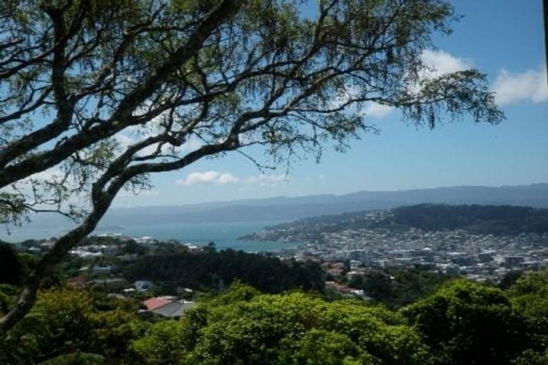 Photo of property in 1 Highbury Crescent, Highbury, Wellington, 6012