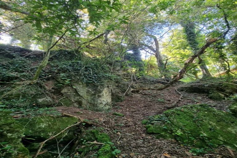 Photo of property in 584b State Highway 3, Waitomo, Te Kuiti, 3977