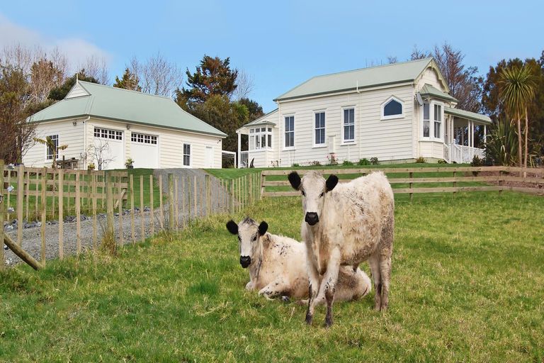 Photo of property in 73 Ranganui Road, Kaiwaka, 0573