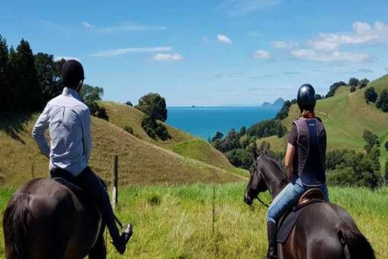 Photo of property in 109 Mimiha Ridge Road, Matata, Whakatane, 3194