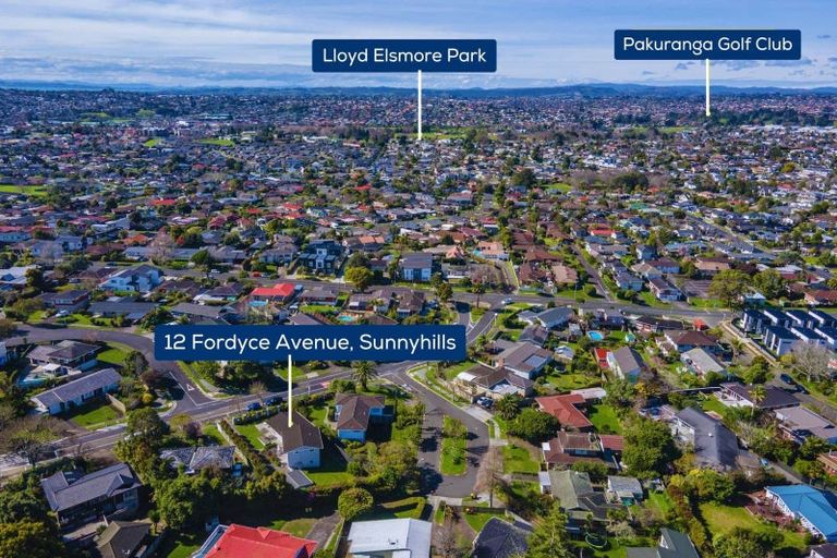Photo of property in 12 Fordyce Avenue, Sunnyhills, Auckland, 2010