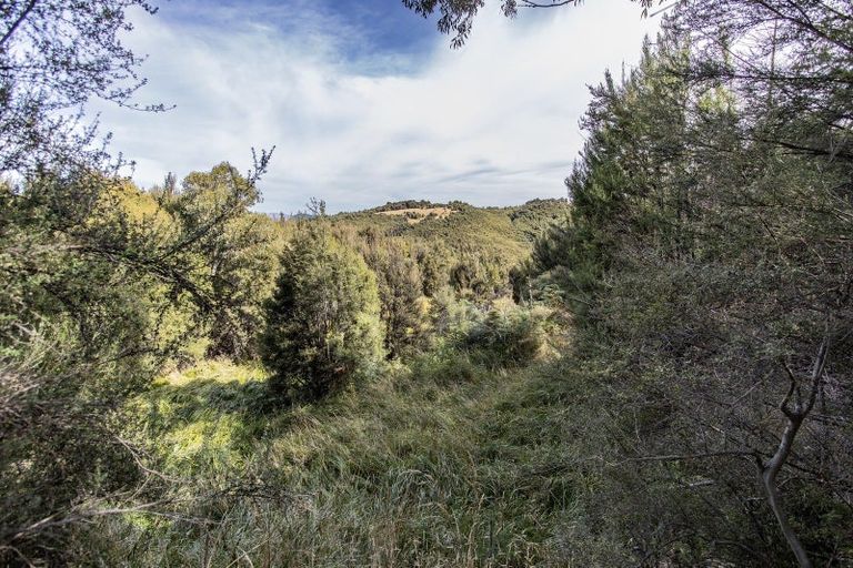 Photo of property in 253 Mount Lyford Forest Drive, Lyford, Waiau, 7395