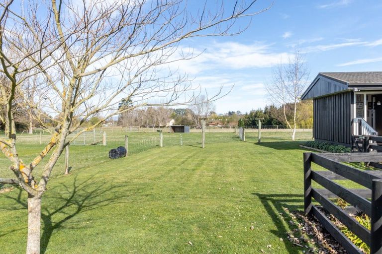 Photo of property in 16 Fergusson Street, Geraldine, 7930