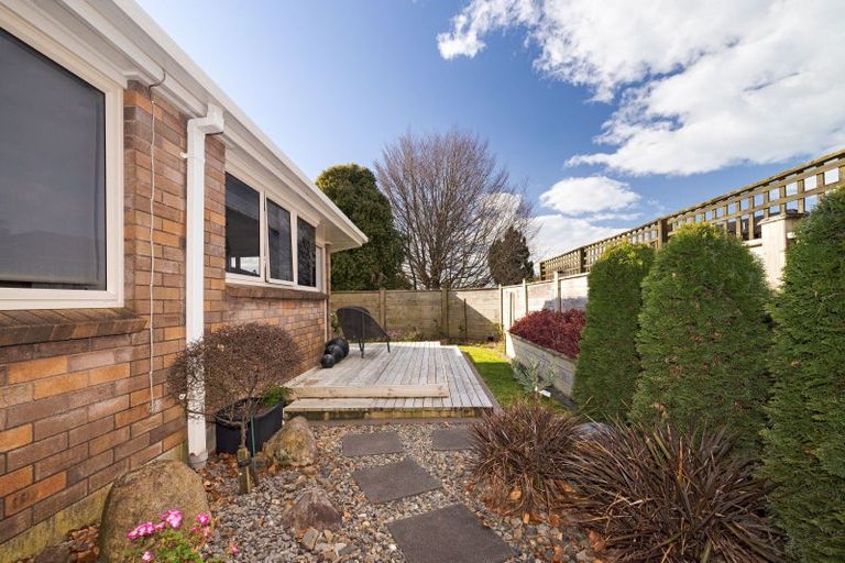 Photo of property in 62a Oxford Street, Te Puke, 3119