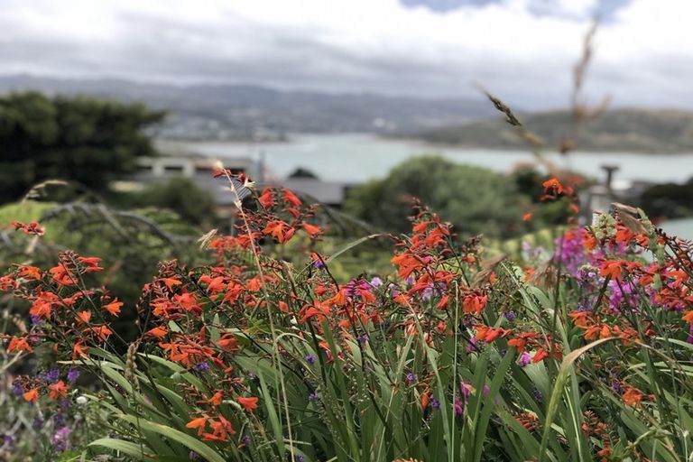 Photo of property in 4a The Track, Plimmerton, Porirua, 5026