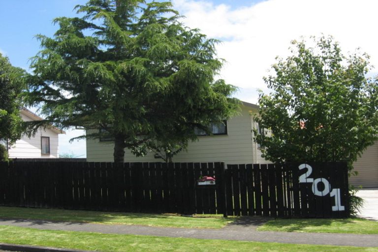 Photo of property in 201 Finlayson Avenue, Clendon Park, Auckland, 2103