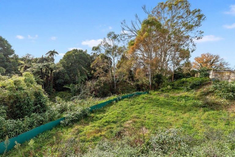 Photo of property in 29 Balloch Street, Fairfield, Hamilton, 3214