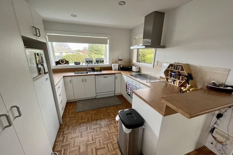 Photo of property in 14 Camellia Place, Hamilton Lake, Hamilton, 3204