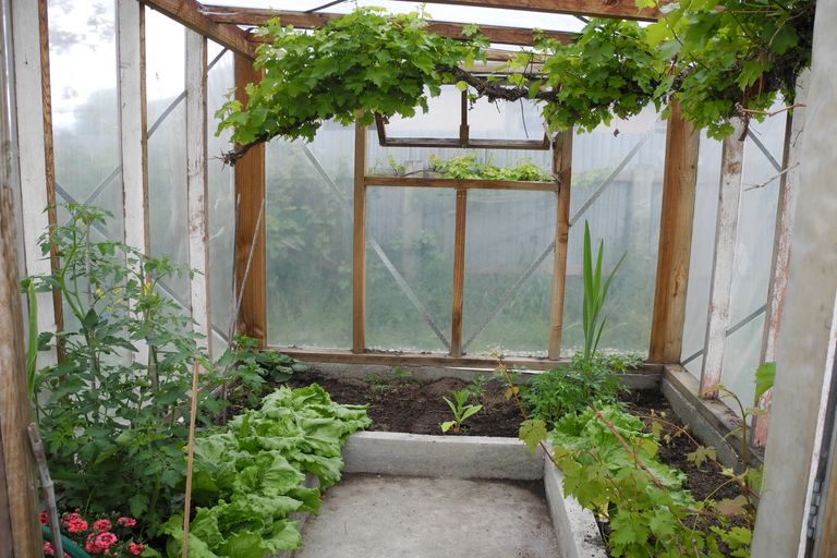 Photo of property in 56 Rhodes Street, Waimate, 7924