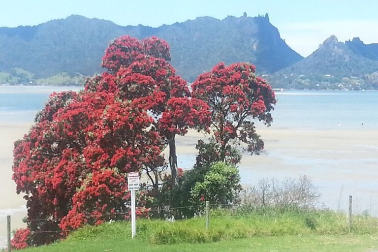 Photo of property in 2/249 One Tree Point Road, One Tree Point, 0118