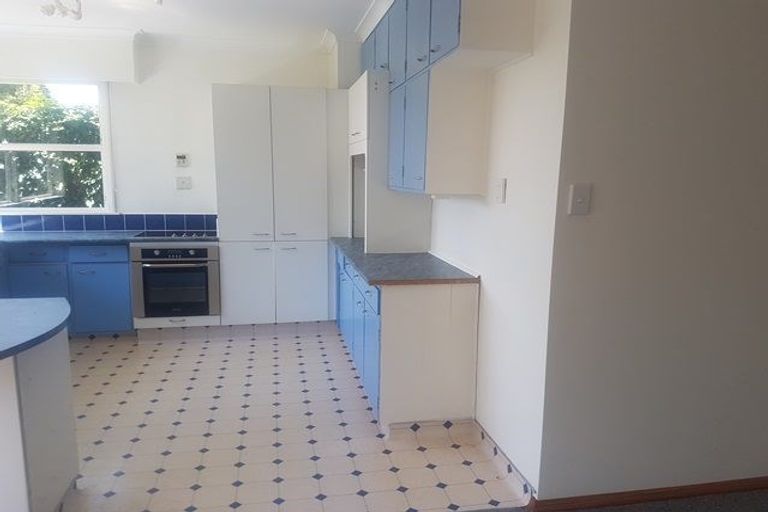 Photo of property in 315 Albert Street, Hokowhitu, Palmerston North, 4410