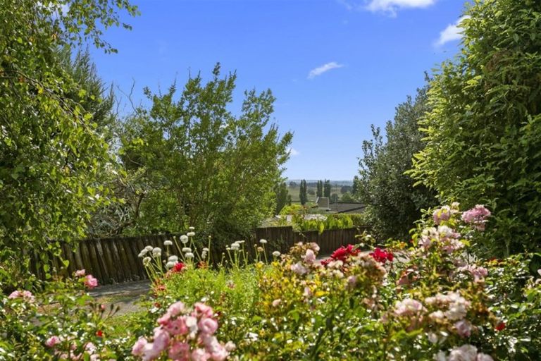 Photo of property in 143 Tirau Street, Putaruru, 3411