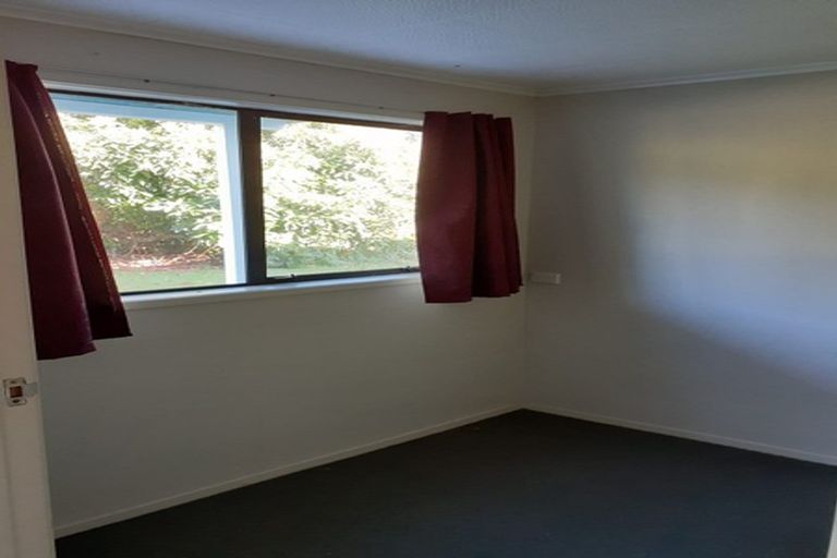 Photo of property in 242 Woodland Road, Tahawai, Katikati, 3170