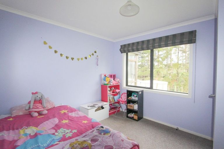 Photo of property in 105 Thompsons Road, Pahiatua, 4982