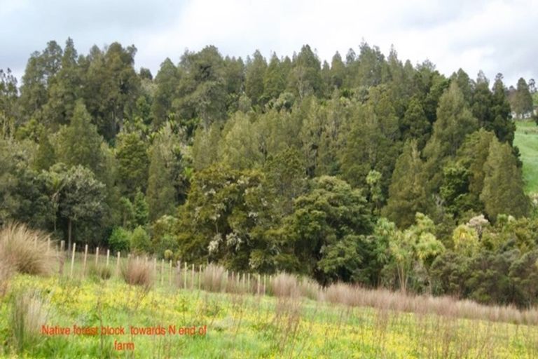 Photo of property in 648 Haruru Road, Kaukapakapa, 0873