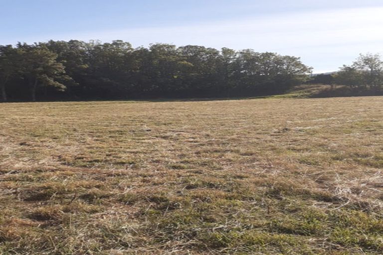 Photo of property in 425 Island Road, View Hill, Oxford, 7495