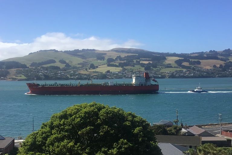 Photo of property in 21 Kaka Road, Saint Leonards, Dunedin, 9022