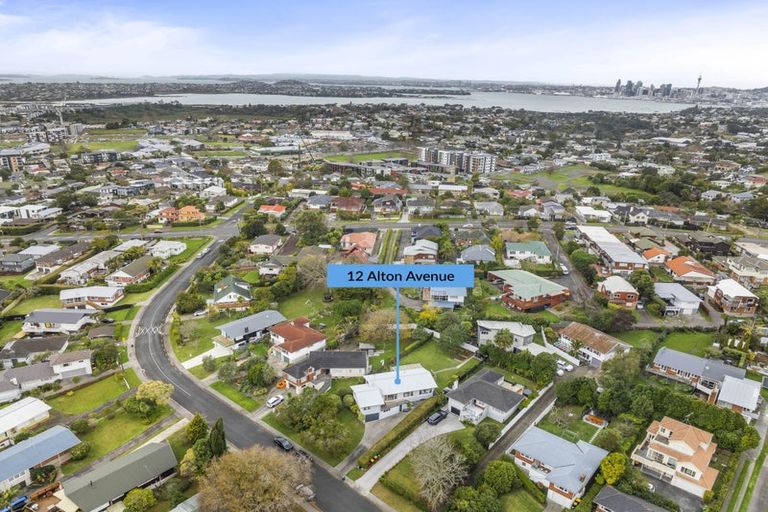 Photo of property in 12 Alton Avenue, Hillcrest, Auckland, 0627