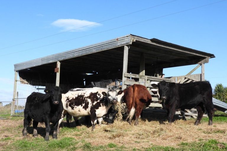 Photo of property in 81 Maudes Road, Deborah, Oamaru, 9492