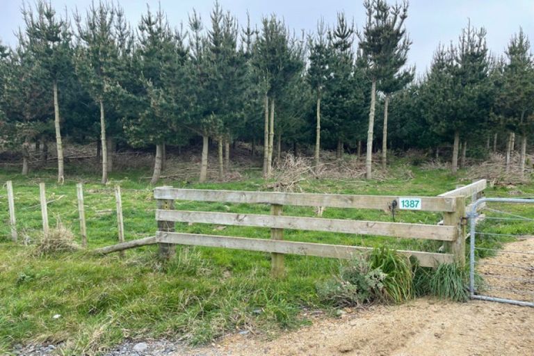 Photo of property in 1387 Santoft Road, Santoft, Bulls, 4894