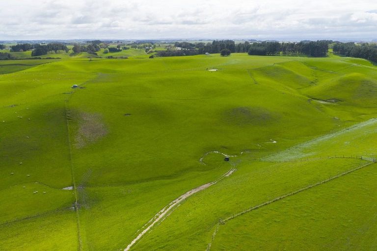 Photo of property in 234 Sandon Road, Feilding, 4779