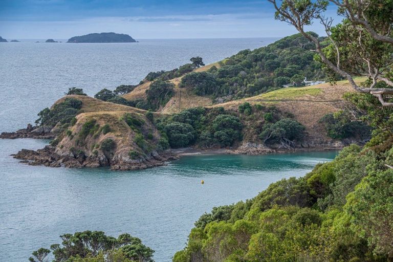 Photo of property in 155 Nick Johnstone Drive, Waiheke Island, 1971